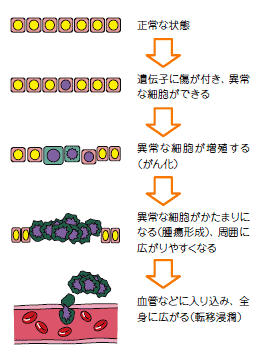 がんができる仕組み